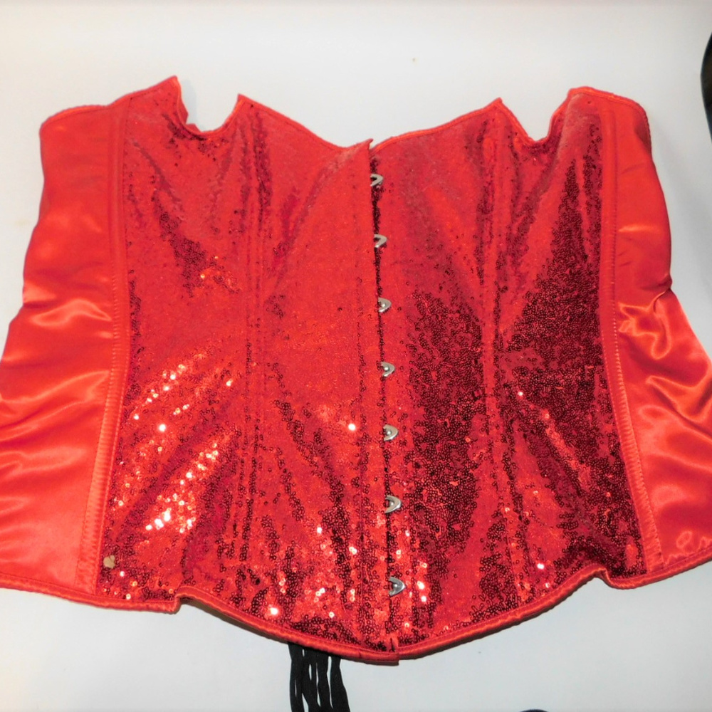 Top Drawer Daisy Corset 6XL